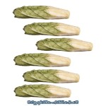 (*) 1 or 6 pc Dollhouse Chinese Cabbage