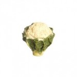 1 or 6 pc Dollhouse Head of Cauliflower