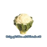 1 or 6 pc Dollhouse Head of Cauliflower