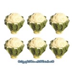 1 or 6 pc Dollhouse Head of Cauliflower