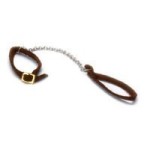 Dollhouse Pet Leash