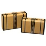 Dollhouse 2 pc Luggage Kit