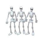 (&amp;sect;) Sale $1 Off - 3 Small Skeletons