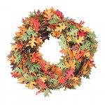 (&amp;sect;) Disc $1 Off - Dollhouse Fall Roping