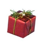 Assorted Dollhouse Christmas Gift