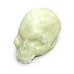 (*) Dollhouse Partial Skull
