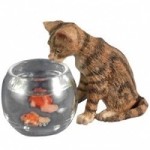 (*) Dollhouse Curious Cat With Fish Bowl