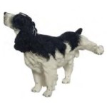 Dollhouse Naughty Springer Spaniel