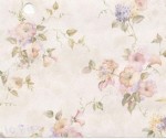 (&amp;sect;) Disc 50% Off - 3 Shts Morning Glories Paper- Choice of Color -
