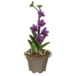 (&amp;sect;) Disc. $1 Off - Assorted Dollhouse Potted Orchids