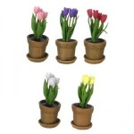 (&amp;sect;) Disc. $2 Off - Assorted Dollhouse Potted Tulips
