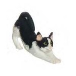 (*) Dollhouse Miniature Stretching Cat