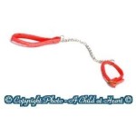 Dollhouse Pet Leash