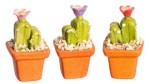 Set of 3 Potted Cactus