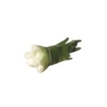 &amp;sect; Sale - Dollhouse Green Onions